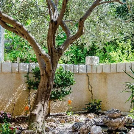 Kosa - With Balcony And Sea View Appartement