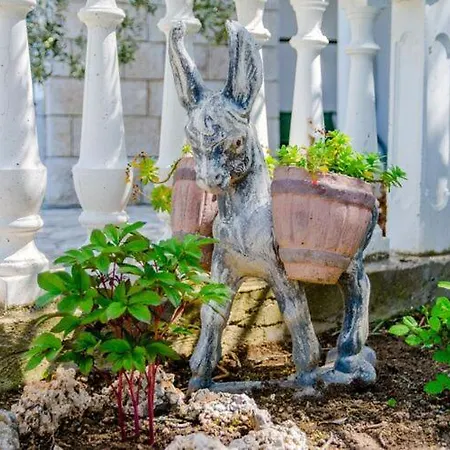 Kosa - With Balcony And Sea View Appartement Brela